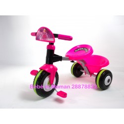 Porteurs Tricycles