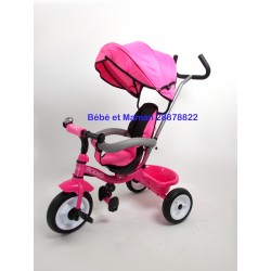 Porteurs Tricycles